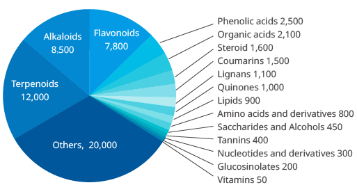 Pie chart of MWDB in-house plant metabolite database showing category coverage, including terpenoids (12,000), alkaloids (8,500), flavonoids (7,800), phenolic acids (2,500), organic acids (2,100), and other metabolite classes